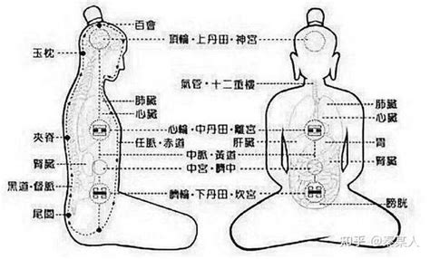 玄关穴|“玄关一窍”的秘密（先天能量贯通全身！）